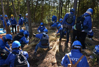 The TOTO Acorn Reforestation Project