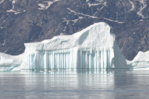 Preventing global warming