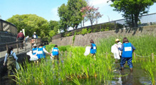 Preserving the water environment