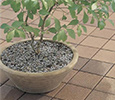 Basea MT Series