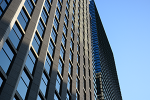 Shareholder information