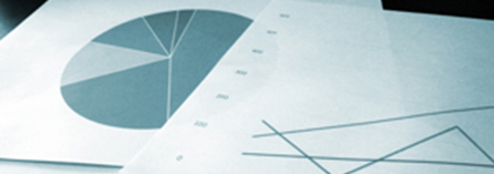 Stock Information