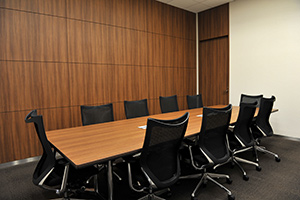 Board of Director